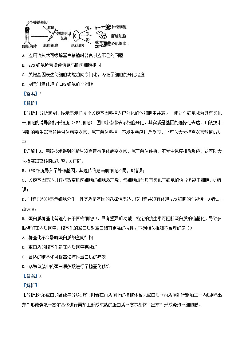 福建省莆田市2023_2024学年高三生物上学期期中试题含解析第3页