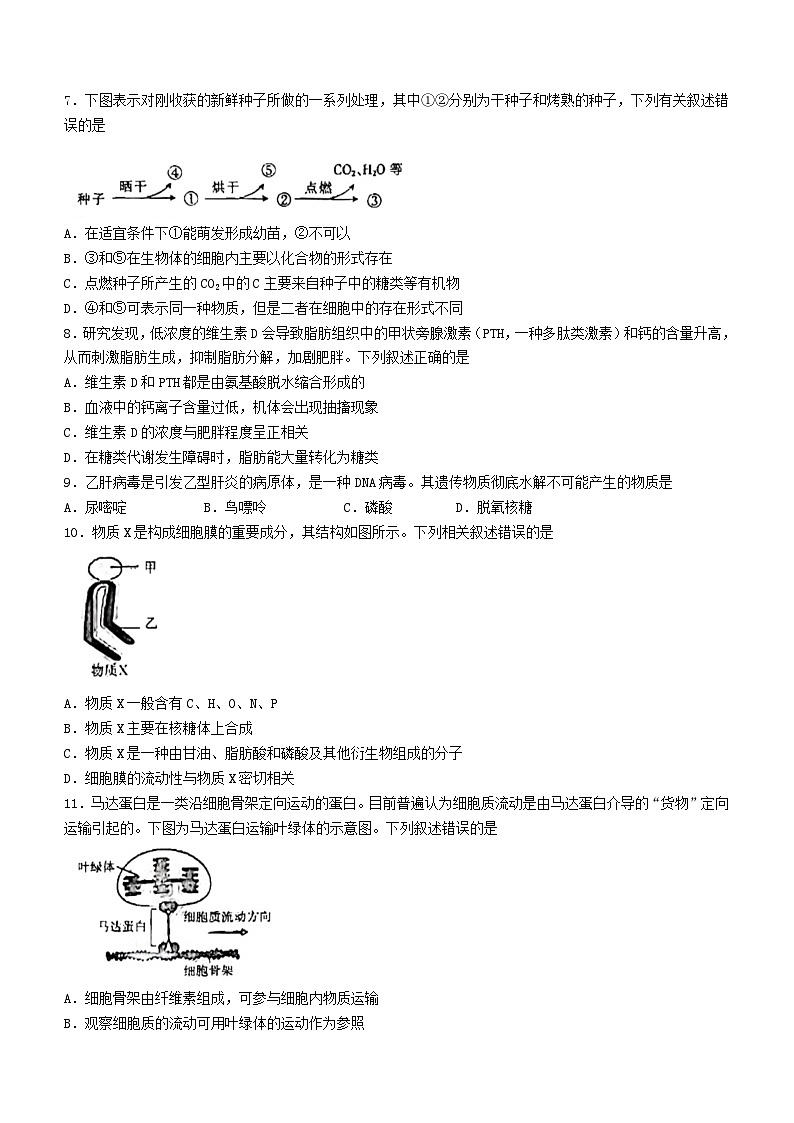 河北省沧衡八校联盟2023_2024学年高一生物上学期11月期中试题第2页