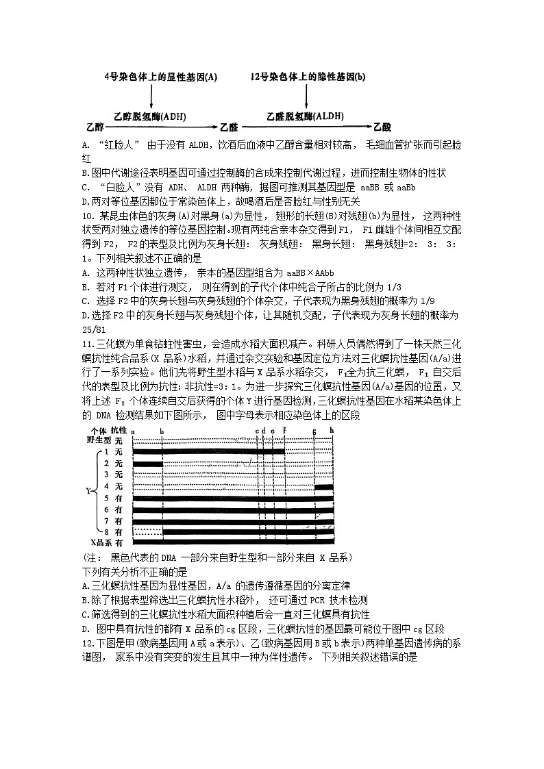 河南省信阳市2023_2024学年高三生物上学期11月第一次模拟考试含解析第3页