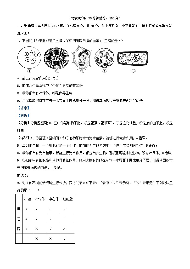 安徽省合肥市六校联盟2023_2024学年高一生物上学期11月期中试题含解析第1页
