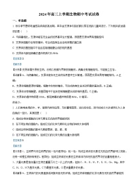 2025岳阳云溪区高三上学期11月期中考试生物含解析