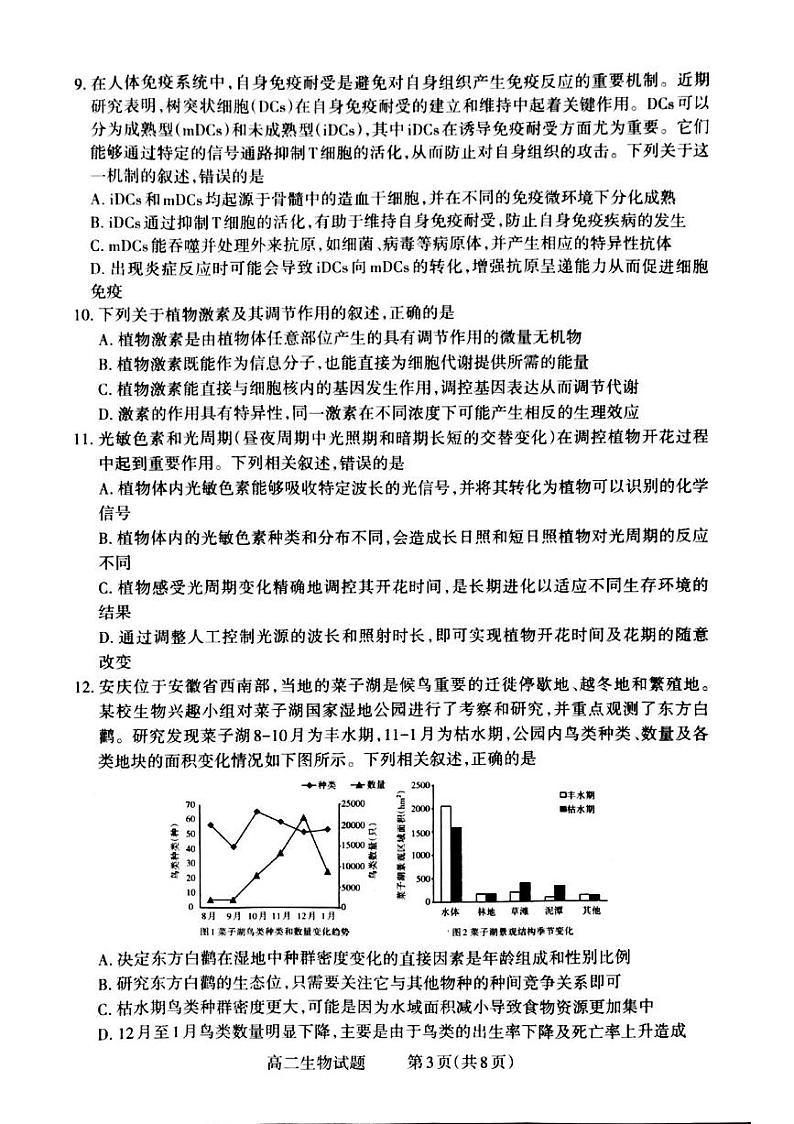 2025晋城高二上学期12月月考试题生物PDF版含解析第3页