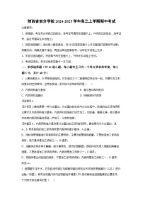 陕西省部分学校2024-2025学年高三上学期期中考试生物试卷（解析版）