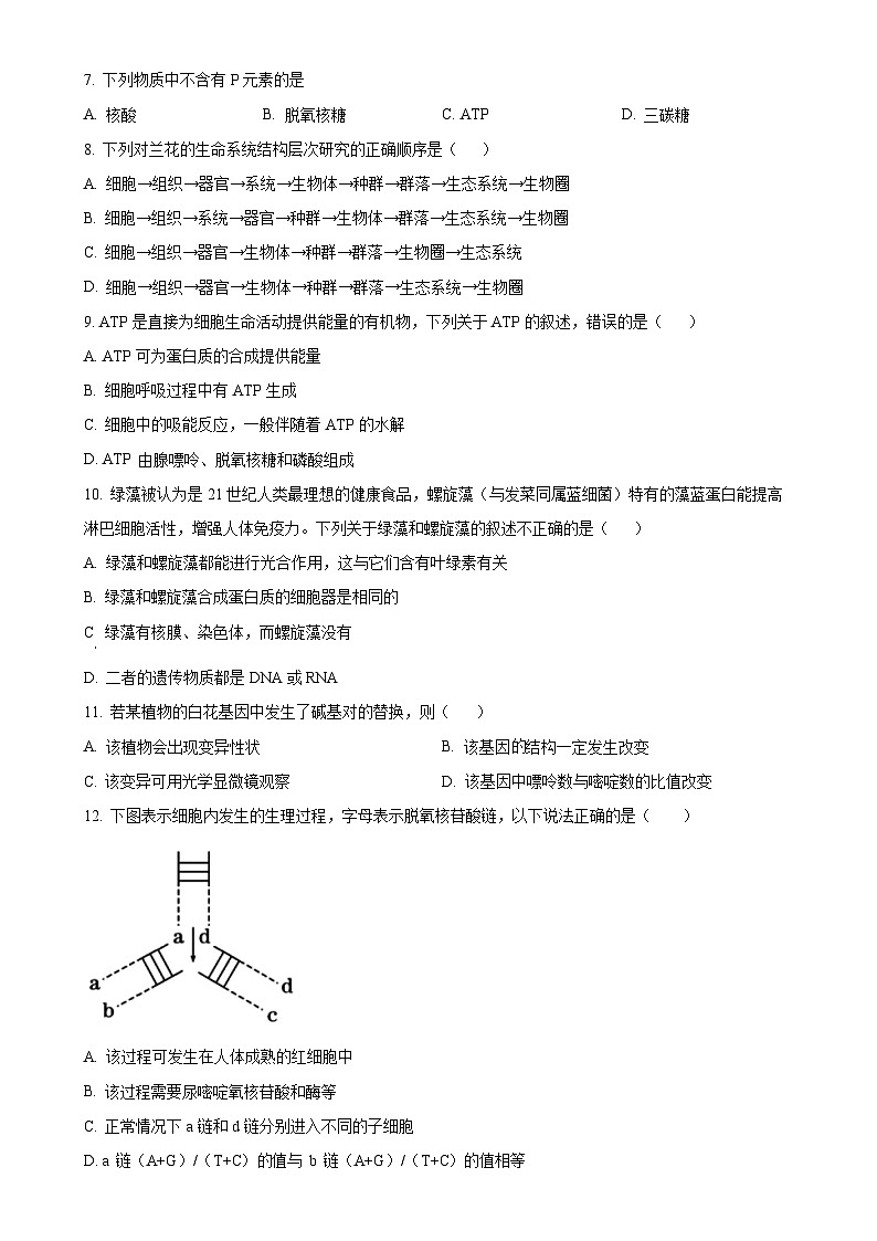 安徽省六安市裕安区六安市独山中学2024-2025学年高二上学期11月期中生物试题(原卷版)-A4第2页