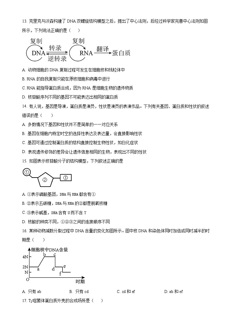 安徽省六安市裕安区六安市独山中学2024-2025学年高二上学期11月期中生物试题(原卷版)-A4第3页