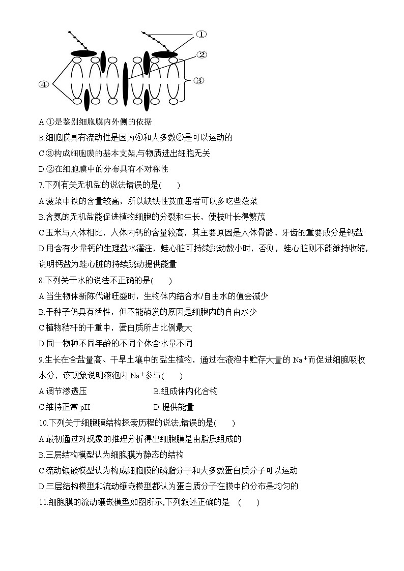 福建省福州市长乐第一中学2024-2025学年高一上学期第一次月考生物试题(培青班)-A4第2页