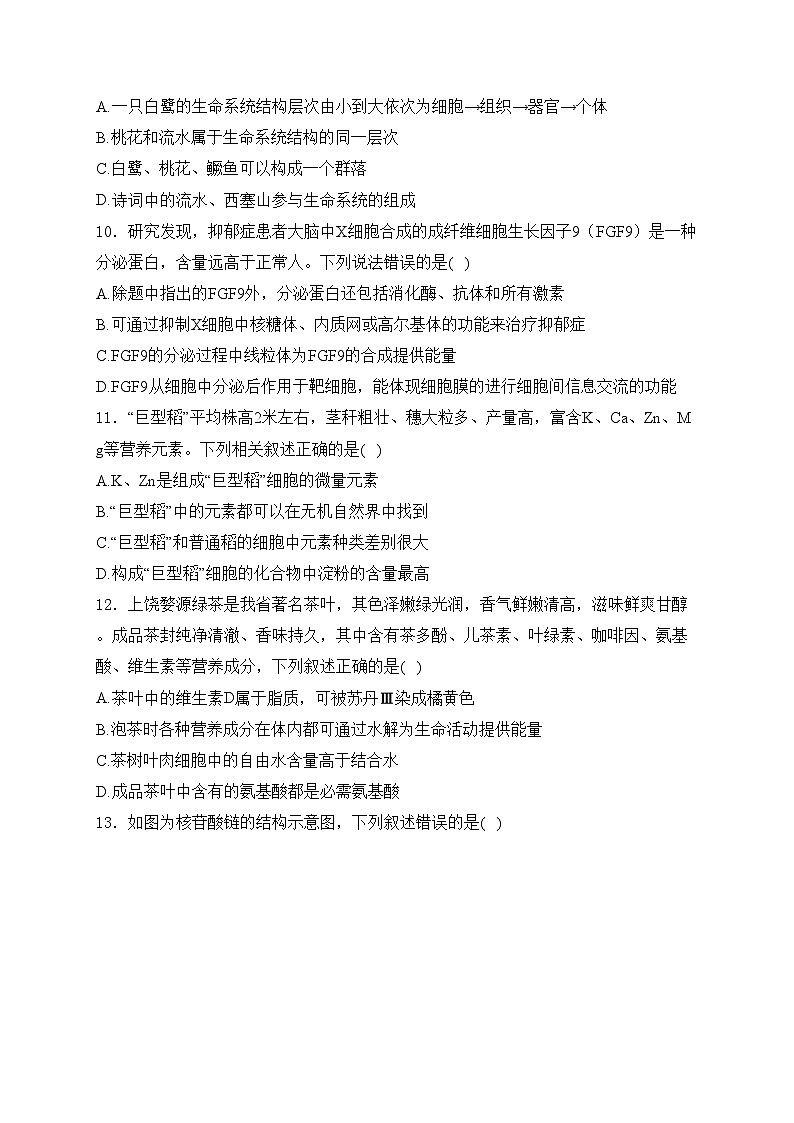 广东省清远市2024-2025学年高一上学期期中联考生物试卷(含答案)第3页