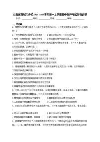 山西省晋城市多校2024-2025学年高一上学期期中测评考试生物试卷(含答案)