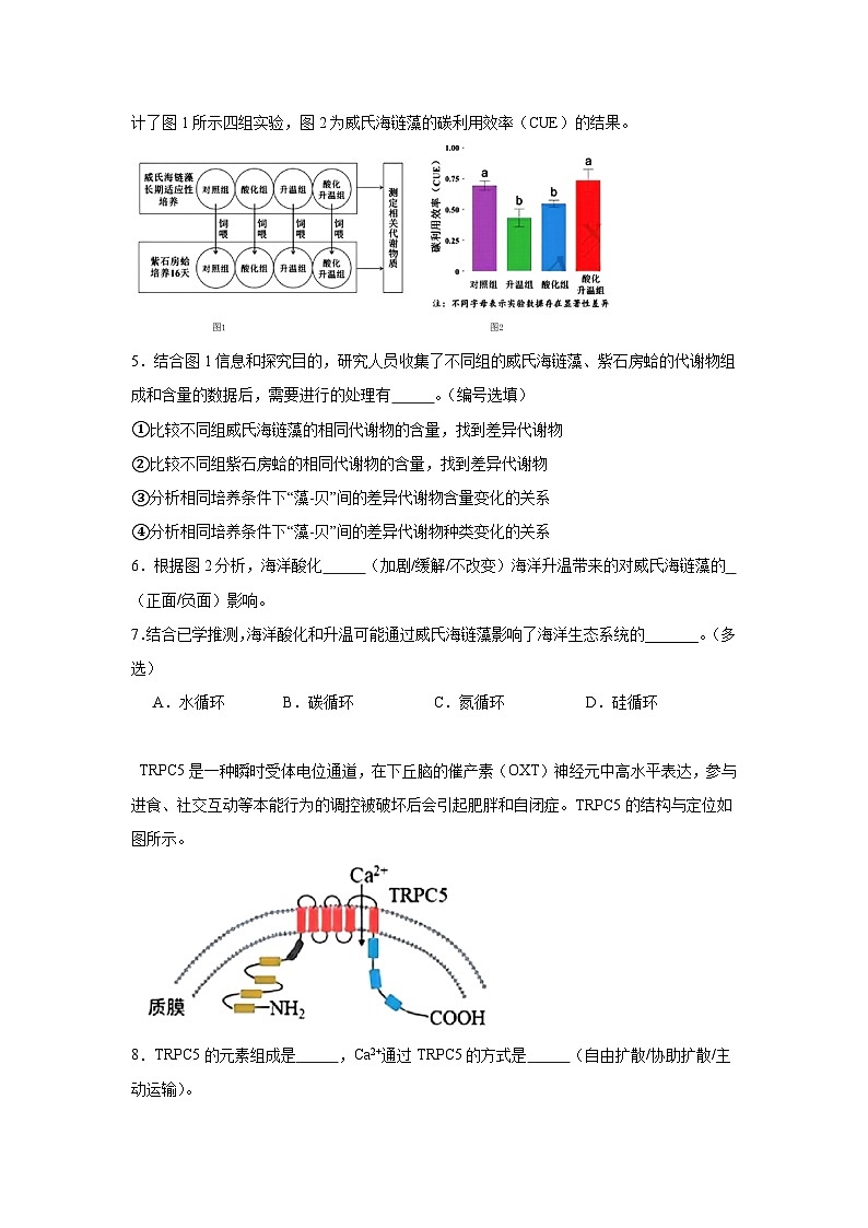 上海市闵行区2024-2025学年高三上学期学业质量调研生物试题第2页