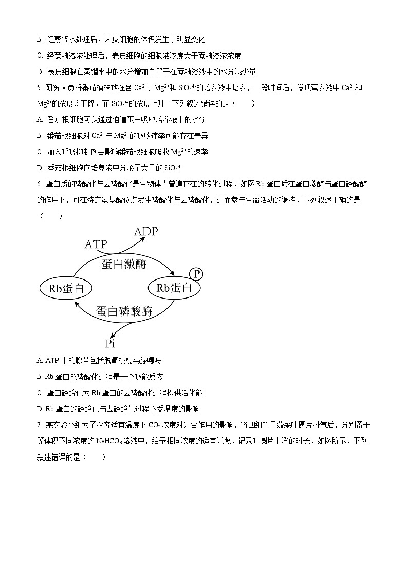 2025届四川省南充市高三一诊考试生物试题 Word版无答案第2页
