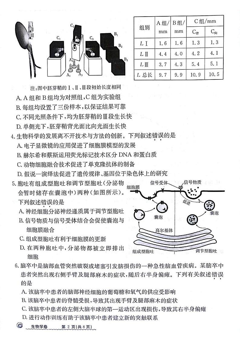 甘肃省白银市靖远县第一中学2024-2025学年高三上学期12月月考生物试题第2页