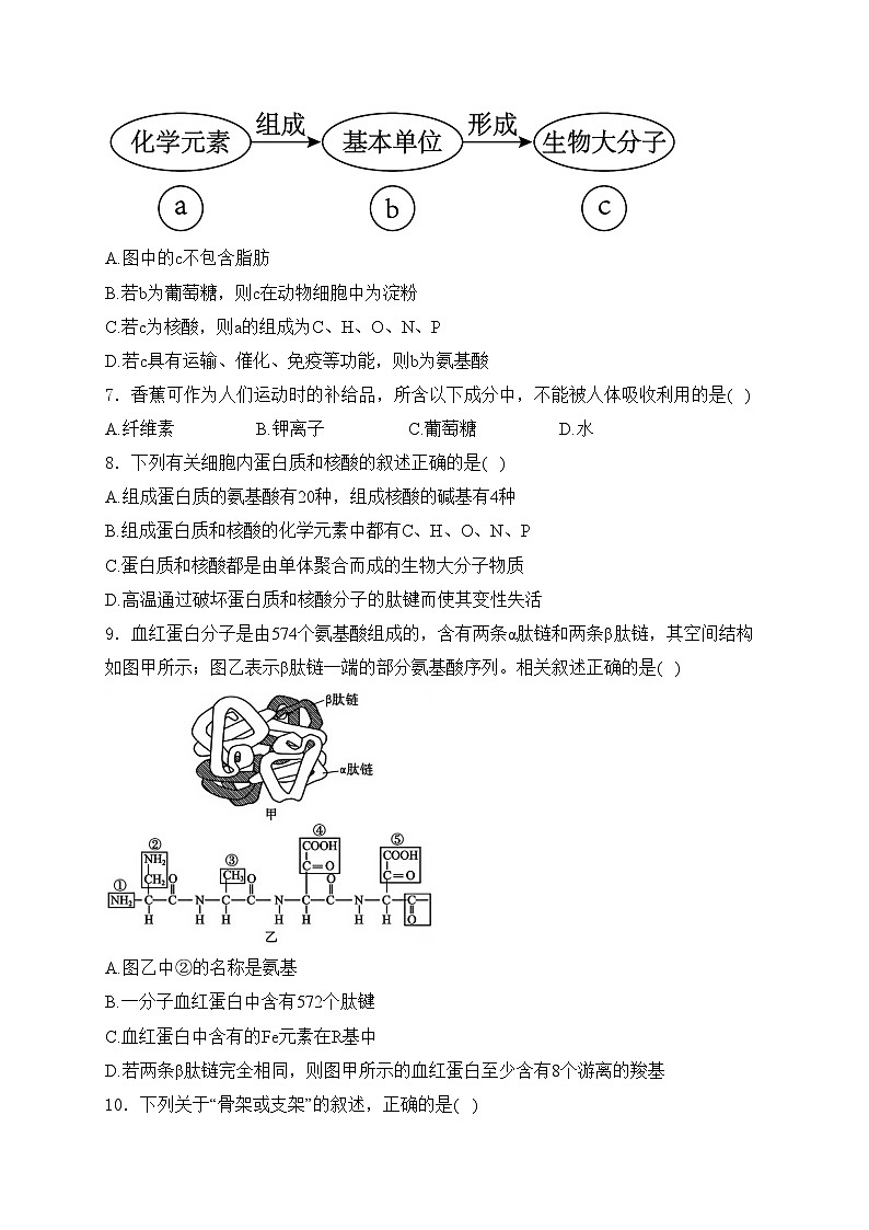 江苏省扬州市八校2024-2025学年高一上学期12月学情检测生物试卷(含答案)第2页