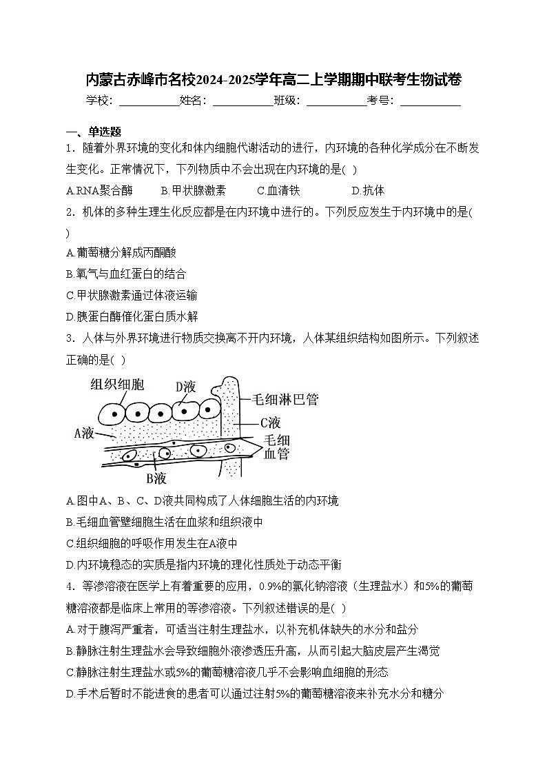 内蒙古赤峰市名校2024-2025学年高二上学期期中联考生物试卷(含答案)第1页