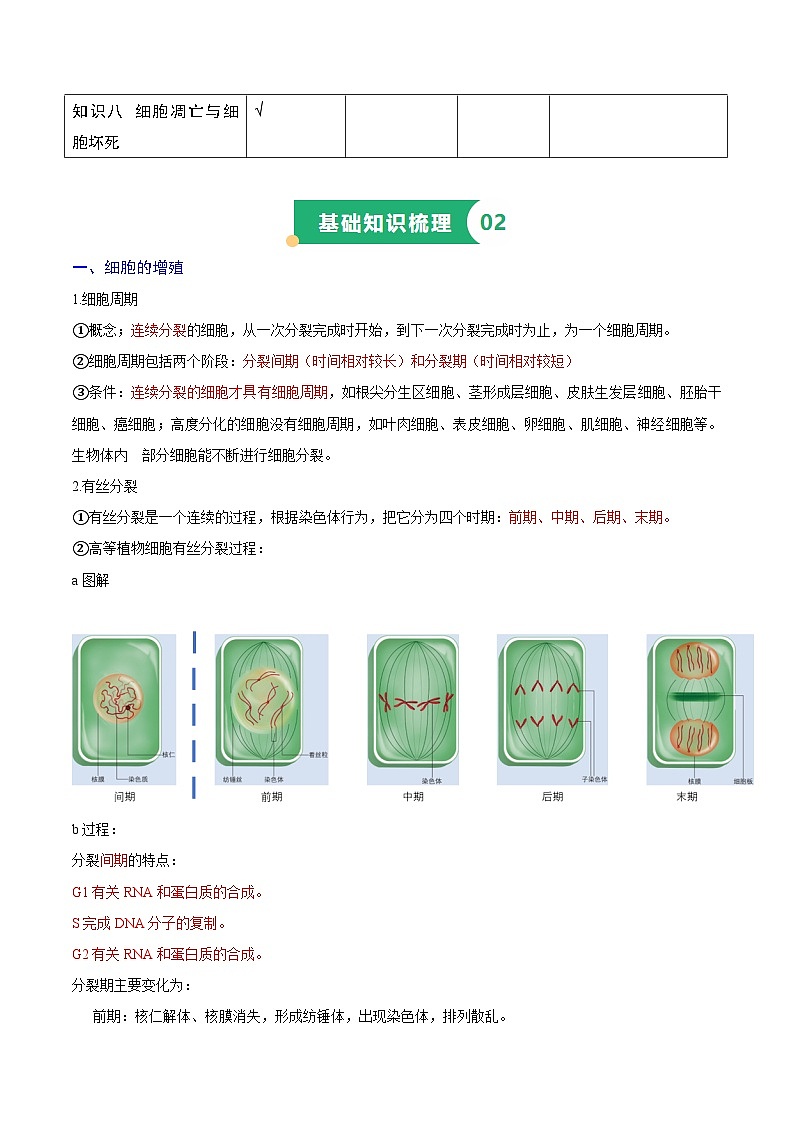 专题06 细胞的生命历程(知识梳理+3大考点精讲精练+实战训练)(原卷版)第2页