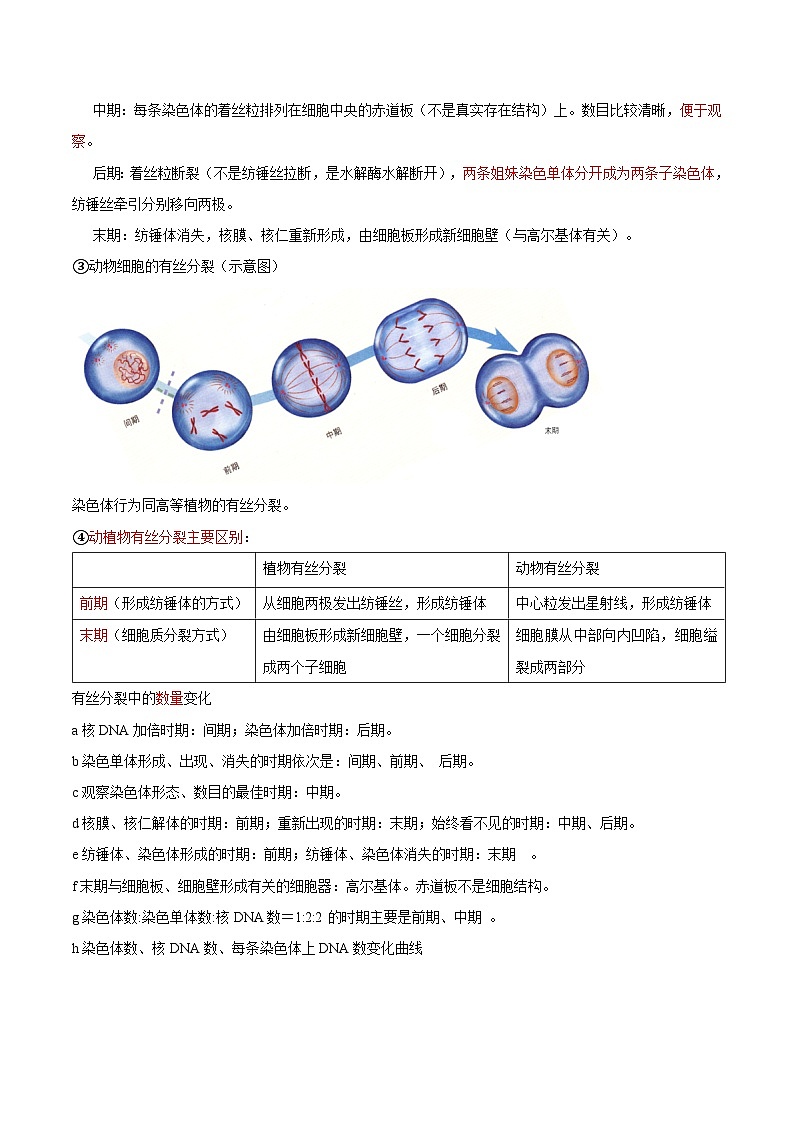 专题06 细胞的生命历程(知识梳理+3大考点精讲精练+实战训练)(解析版)第3页