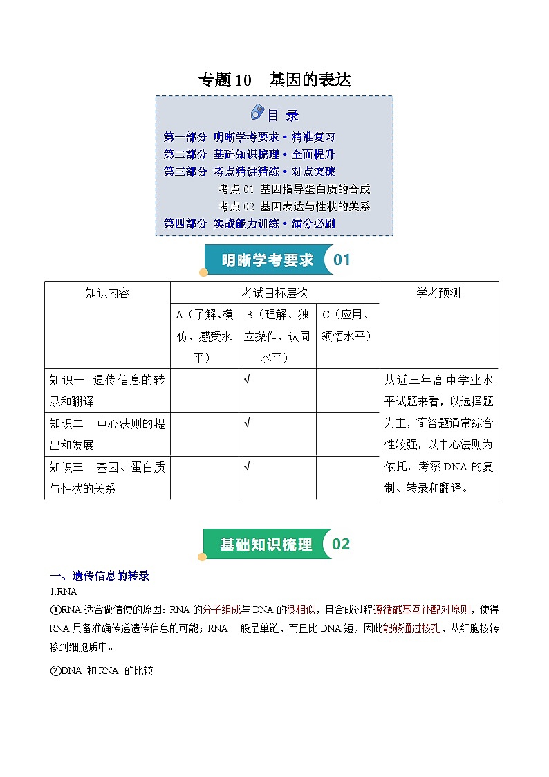 专题10 基因的表达(知识梳理+2大考点精讲精练+实战训练)(原卷版)第1页