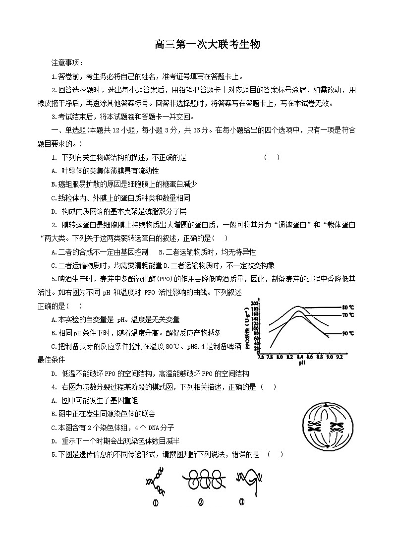 2025屆河北省邯鄲市部分校高三第一次大聯(lián)考模擬預測生物試卷第1頁
