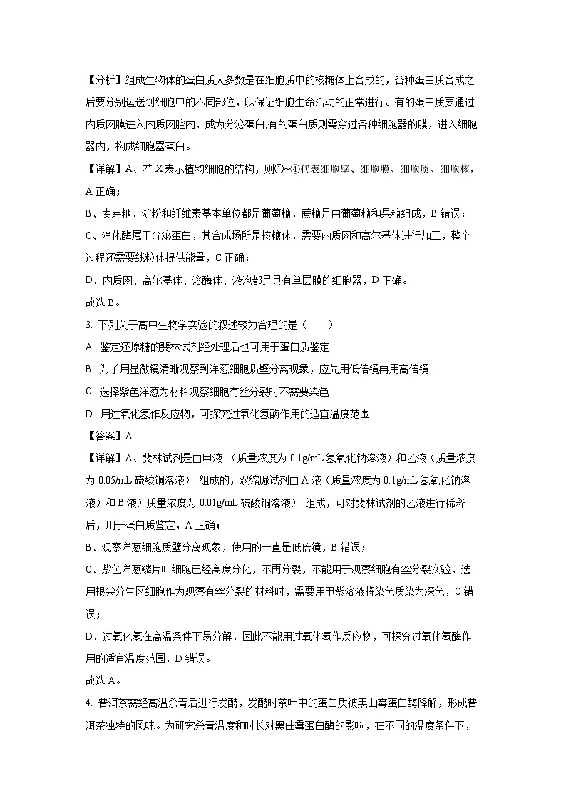 江苏省盐城市五校联考2024-2025学年高三(上)10月月考生物试卷(解析版)第2页