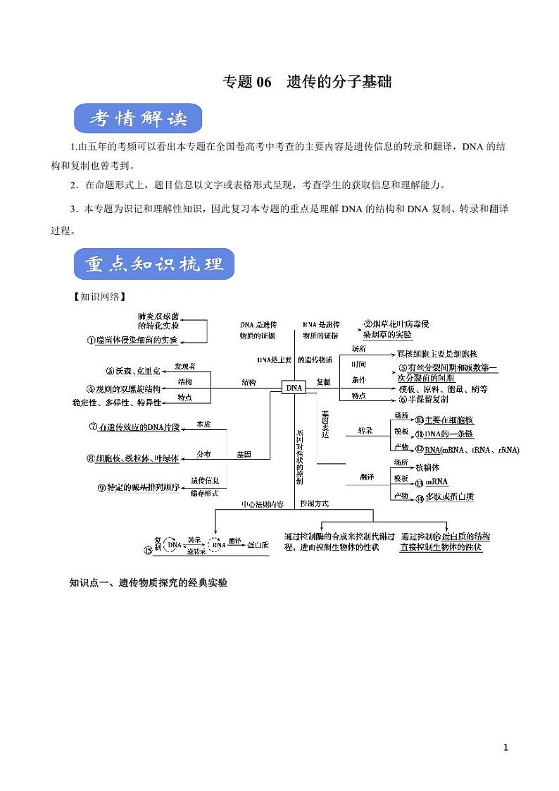 《高中知识清单》生物(专题)-专题06 遗传的分子基础(讲)(原卷+解析版)第1页