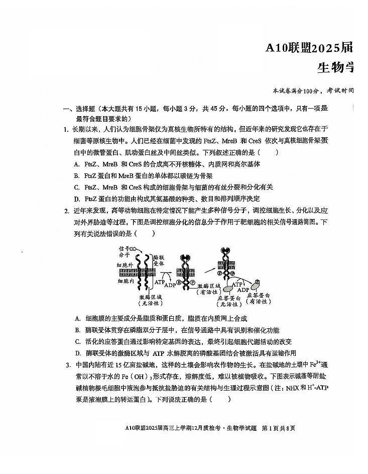 2025安徽省1号卷A10联盟高三上学期12月质检考试题生物PDF版含解析第1页