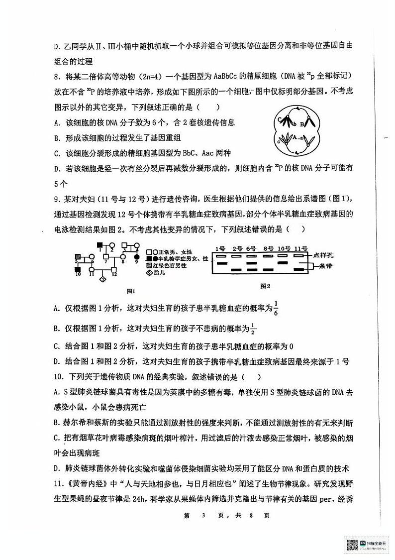 安徽省六安第二中学2024-2025学年高三上学期12月月考生物试题第3页