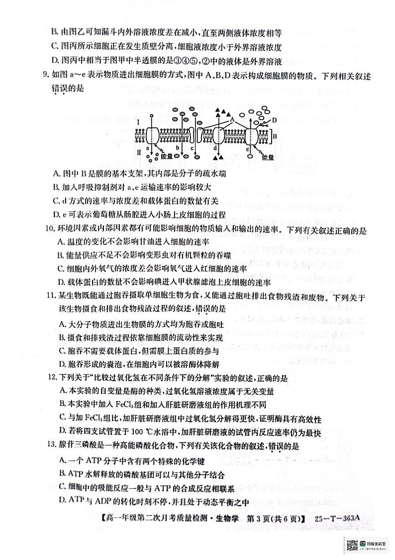 高一年级第二次月考质量检测生物第3页