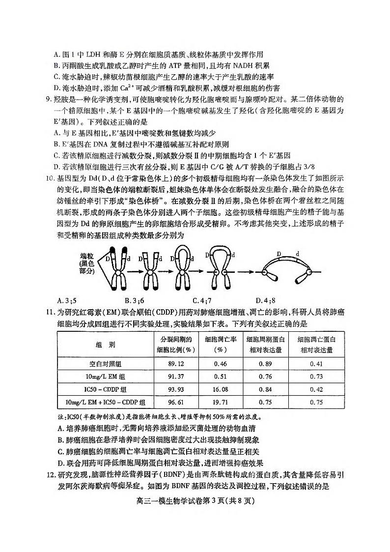 2024年四川内江12月高三一模试卷 生物试题(含答案)第3页