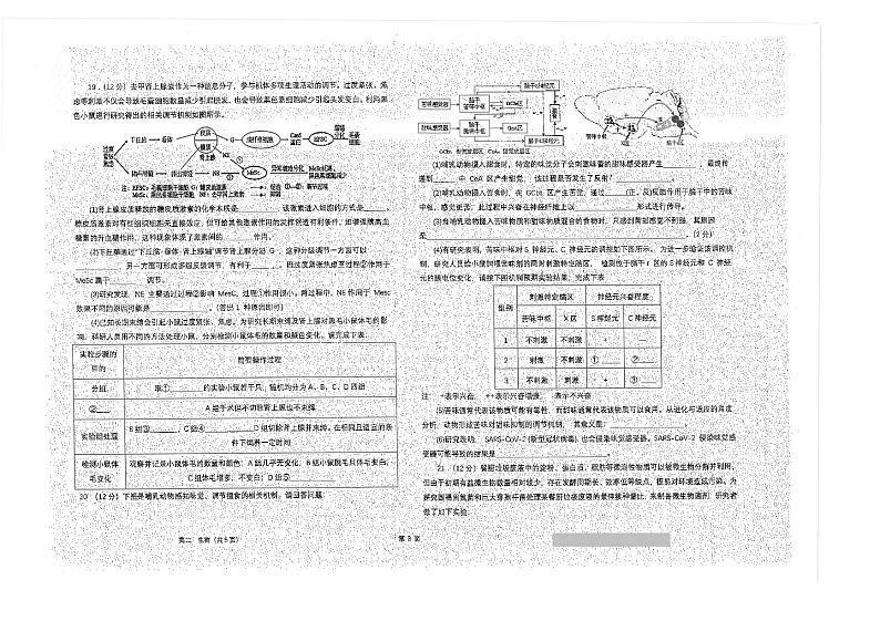 江苏省海安市2023_2024学年高二生物上学期期中试题pdf第3页