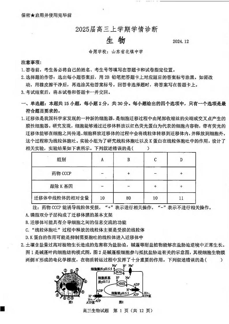 生物丨山东省中学联盟百校大联考2025届高三上学期12月学情诊断生物试卷及答案第1页
