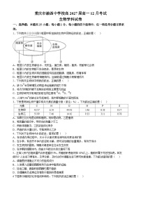重庆市渝西中学2024-2025学年高一上学期12月月考生物试卷（Word版附答案）