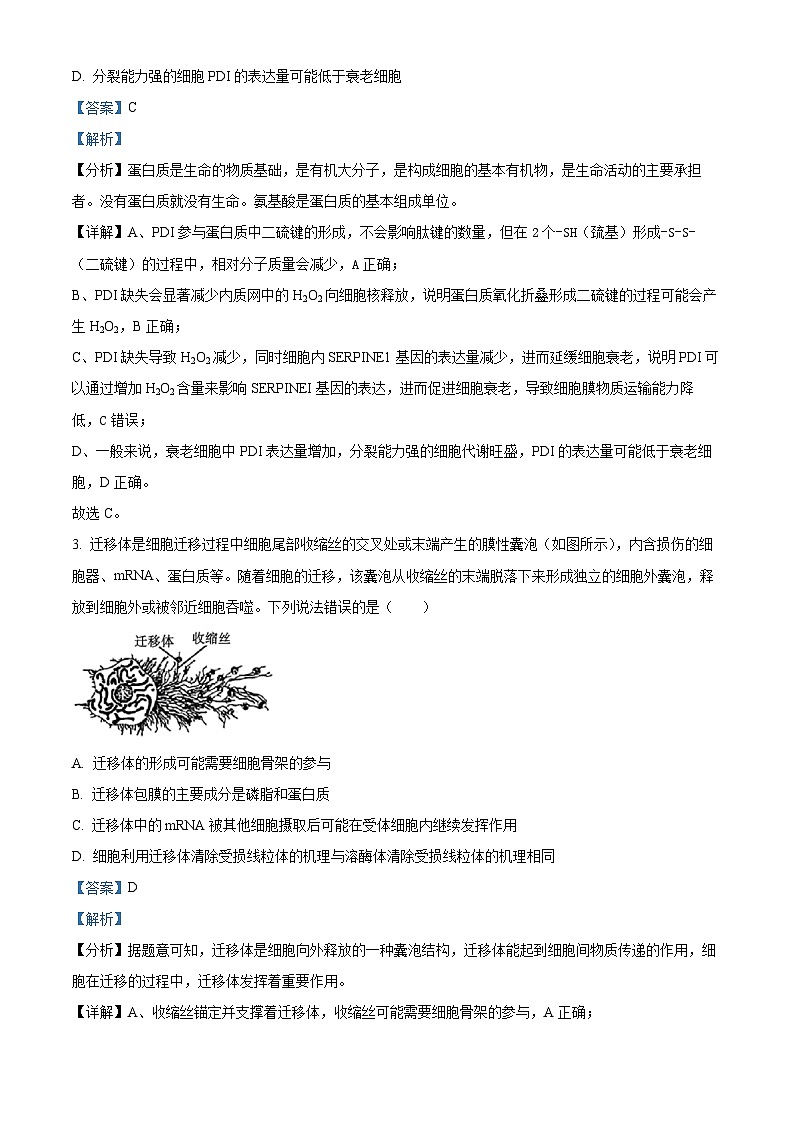 重庆市南开中学2025届高三上学期12月质量检测(四)生物试题 Word版含解析第2页