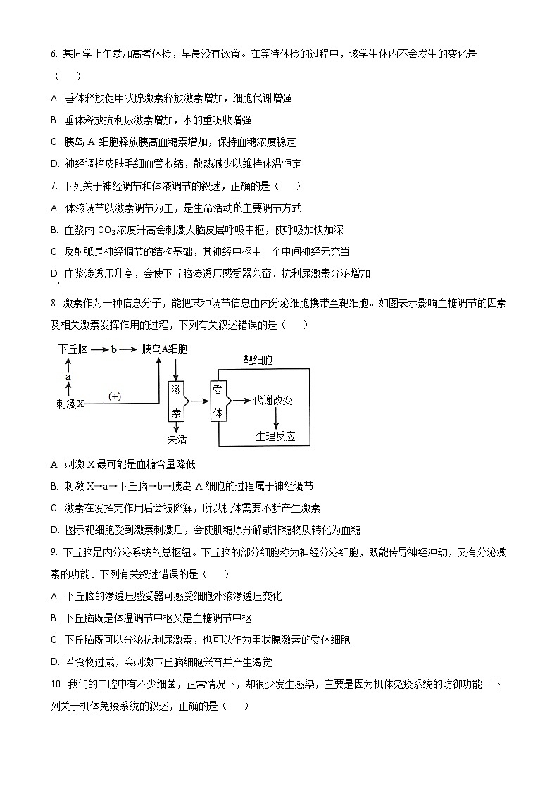 四川省资阳市天立学校2023-2024学年高二上学期期末模拟考试生物试题(二) Word版无答案第2页