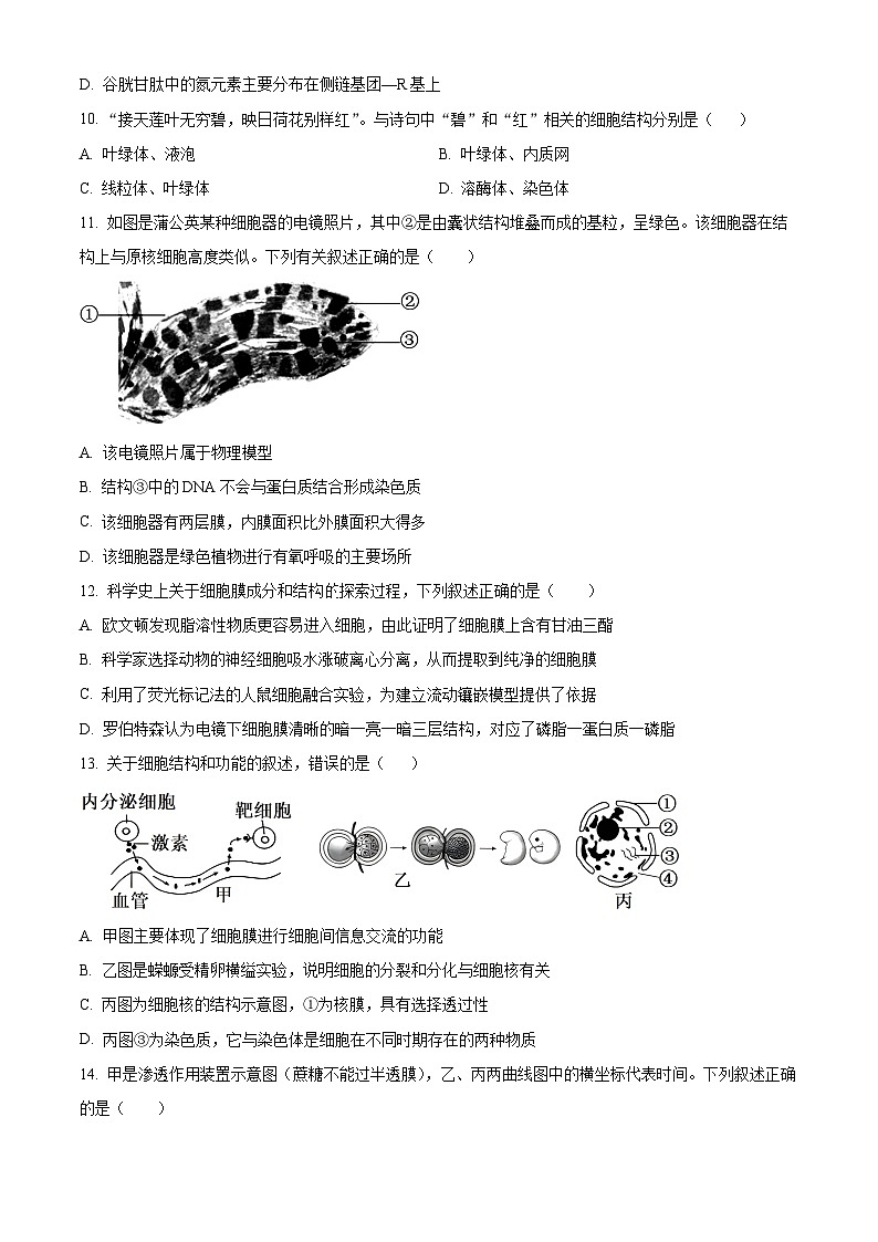 四川省绵阳市南山中学2024-2025学年高一上学期12月月考生物试题 Word版无答案第3页