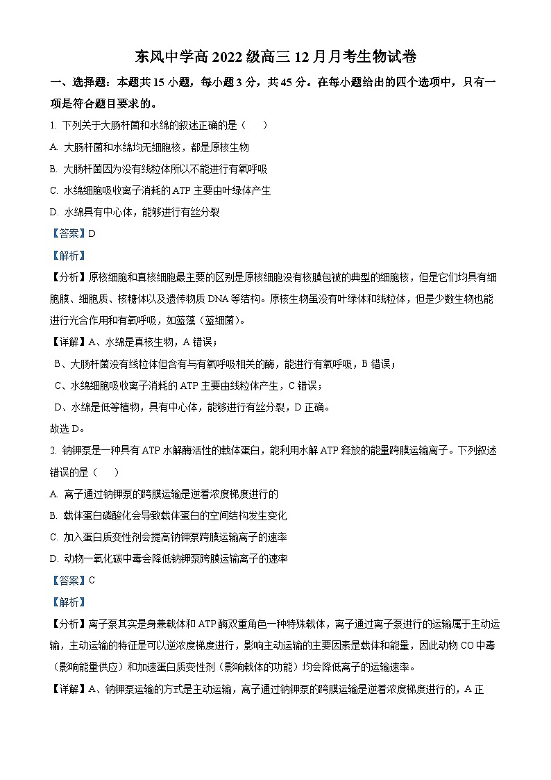 四川省南充市阆中东风学校2024-2025学年高三上学期12月月考生物试题 Word版含解析第1页