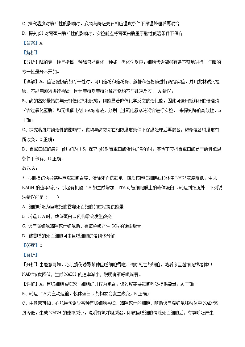 四川省南充市阆中东风学校2024-2025学年高三上学期12月月考生物试题 Word版含解析第3页