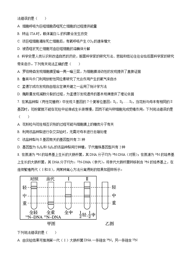 四川省南充市阆中东风学校2024-2025学年高三上学期12月月考生物试题 Word版无答案第2页