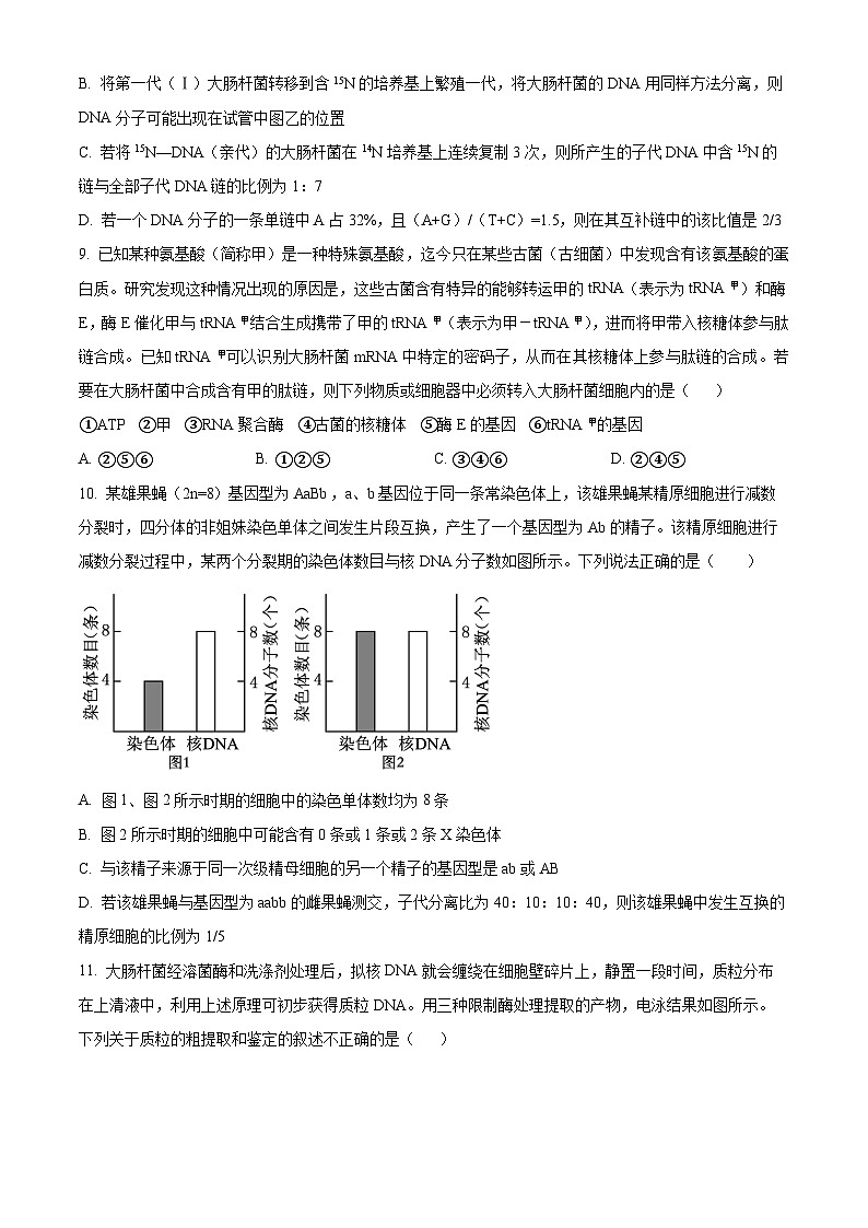 四川省南充市阆中东风学校2024-2025学年高三上学期12月月考生物试题 Word版无答案第3页