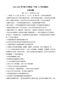 辽宁省大连市第八中学2024-2025学年高一上学期12月月考生物试卷(Word版附答案)