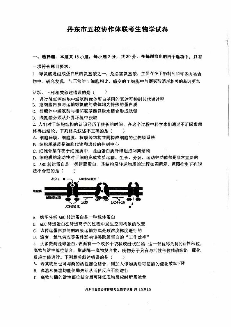 辽宁省丹东市五校协作体2024-2025学年高三上学期12月月考生物试卷(PDF版附答案)第1页