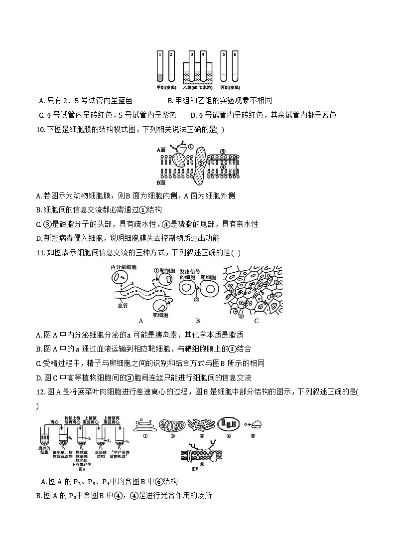 2024年天津市双菱中学高一12月月考——生物试卷第3页