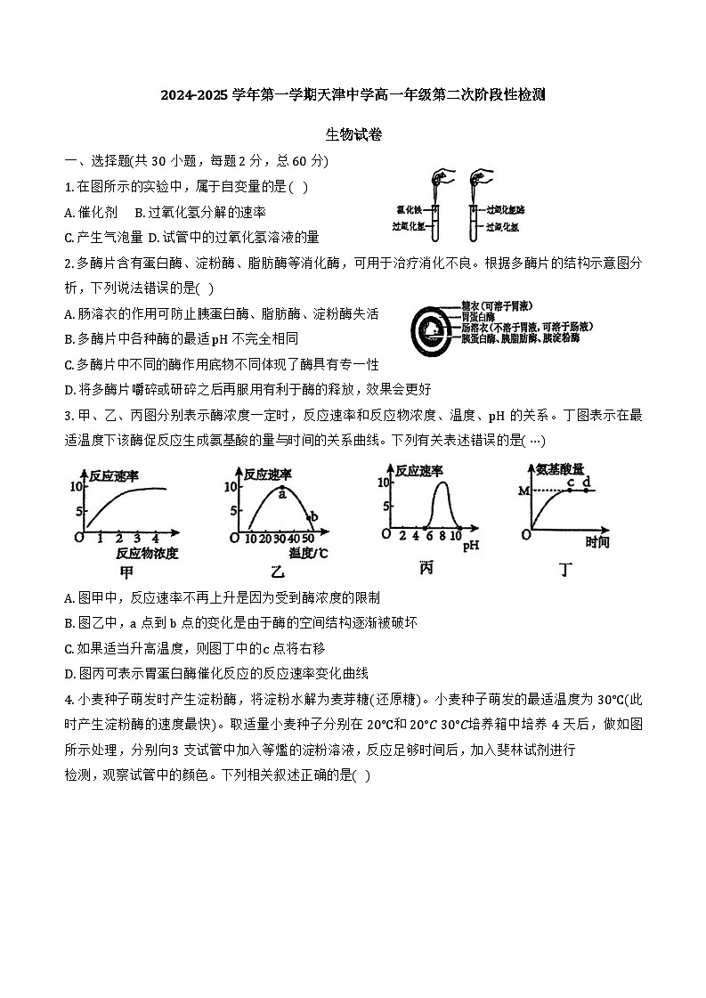 2024年天津中學(xué)高一12月月考——生物試卷第1頁