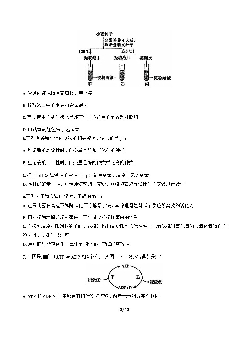 2024年天津中學(xué)高一12月月考——生物試卷第2頁