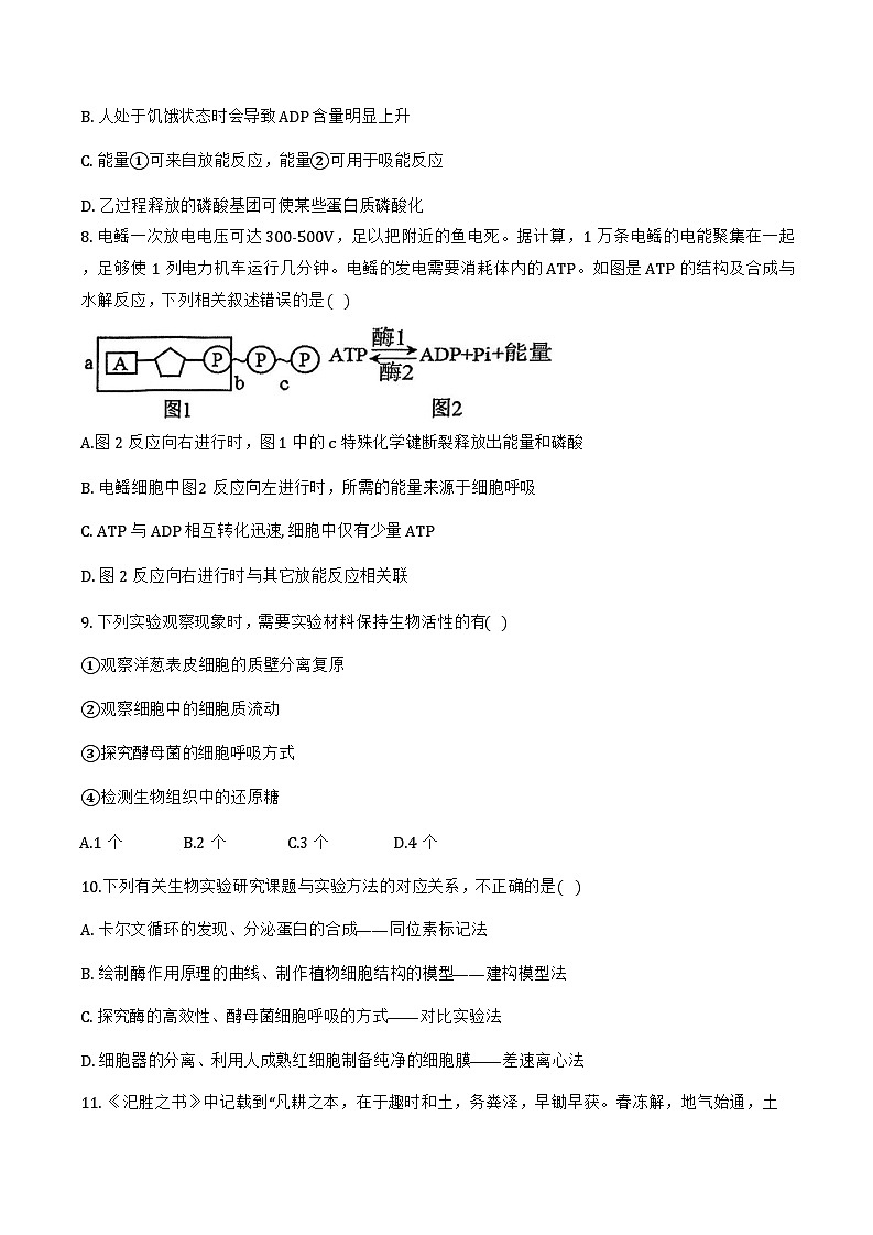 2024年天津中學(xué)高一12月月考——生物試卷第3頁