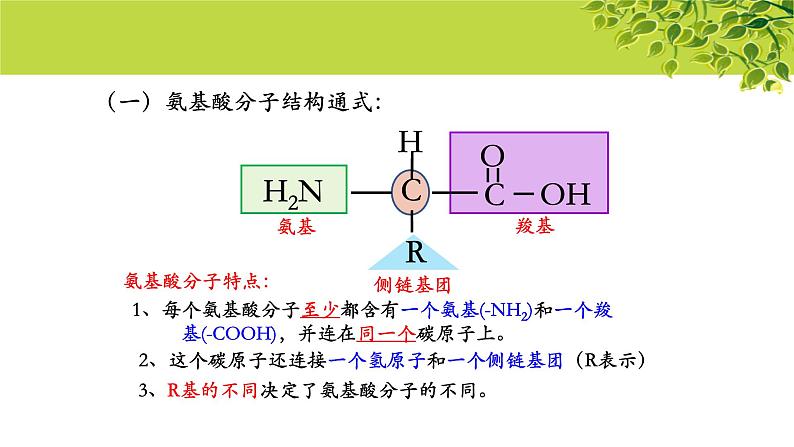 高中生物人教版必修1《蛋白质是生命活动的主要承担者》第2课时 课件第6页