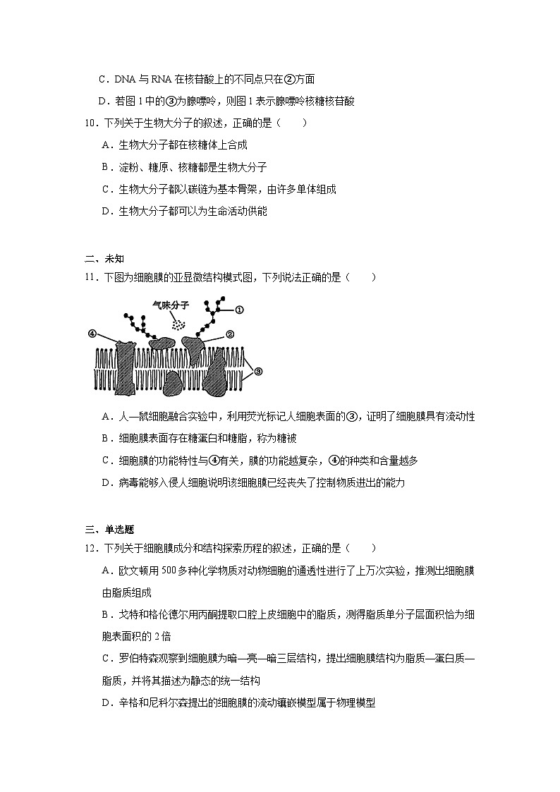 2025届八省适应性联考高三模拟演练考试生物试卷第3页