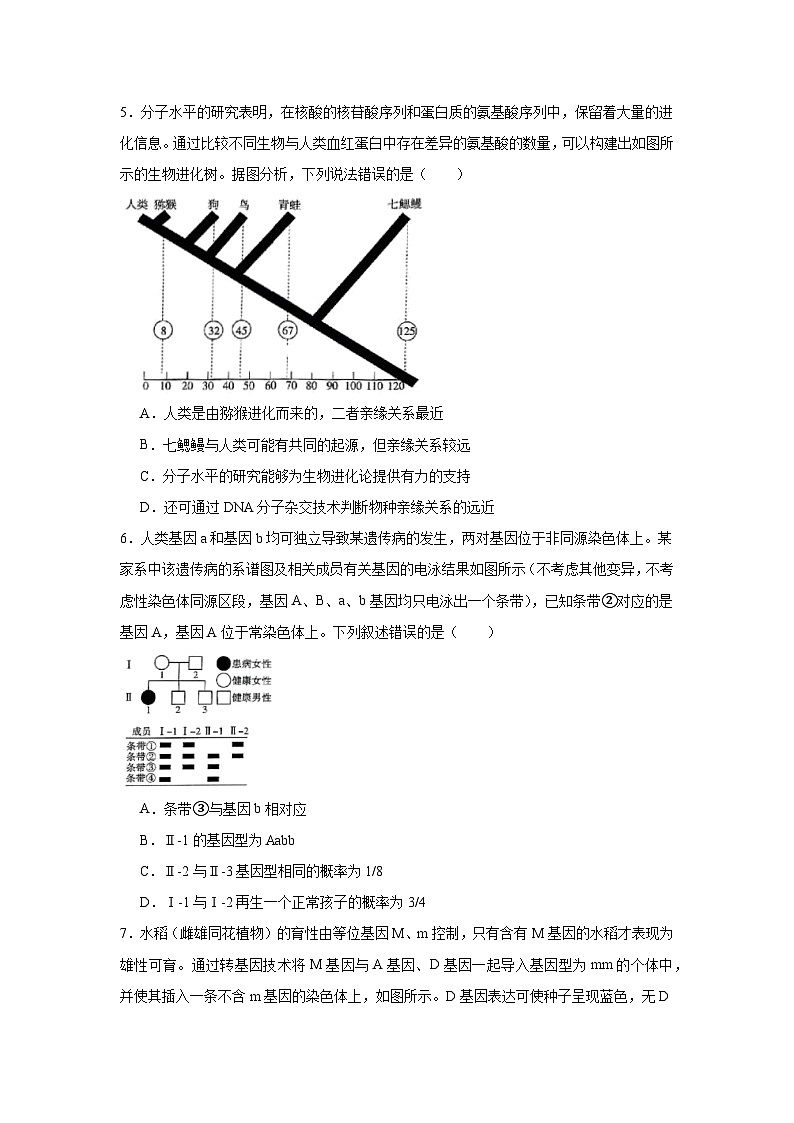 2025届河南省部分名校高三小高考第二次模拟考试生物试题第2页