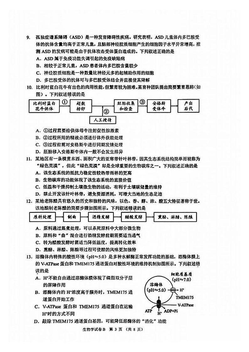 广州零模2025届高三上学期12月调研考生物试题试题(无答案)第3页