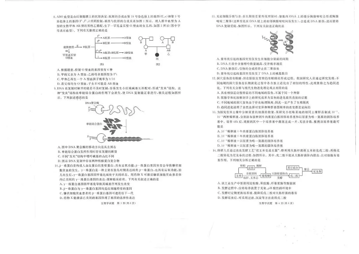 生物丨四川省九市联考2025届高三12月第一次诊断考试生物试卷及答案第2页