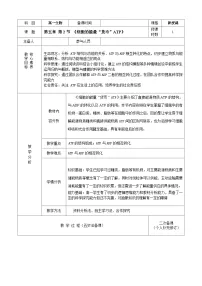 生物必修1《分子与细胞》第2节 细胞的能量“货币”ATP教案