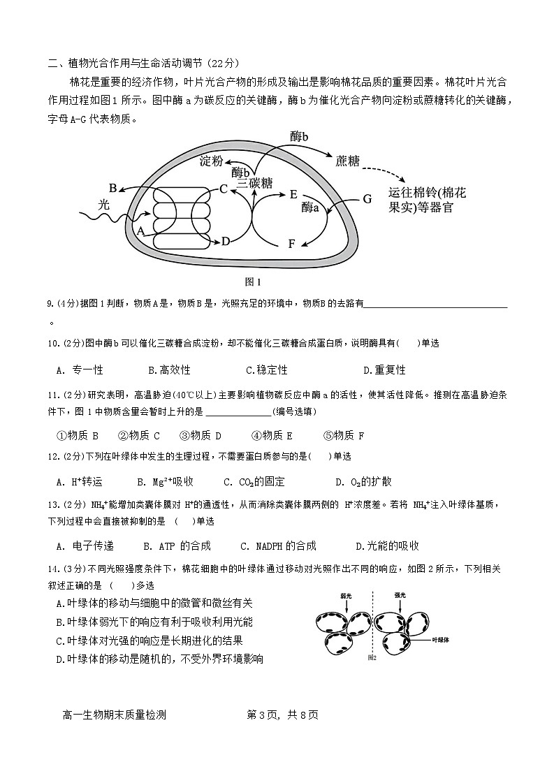 上海市浦东新区华东师范大学第二附属中学2023-2024学年高一下学期6月期末考试生物试题第3页